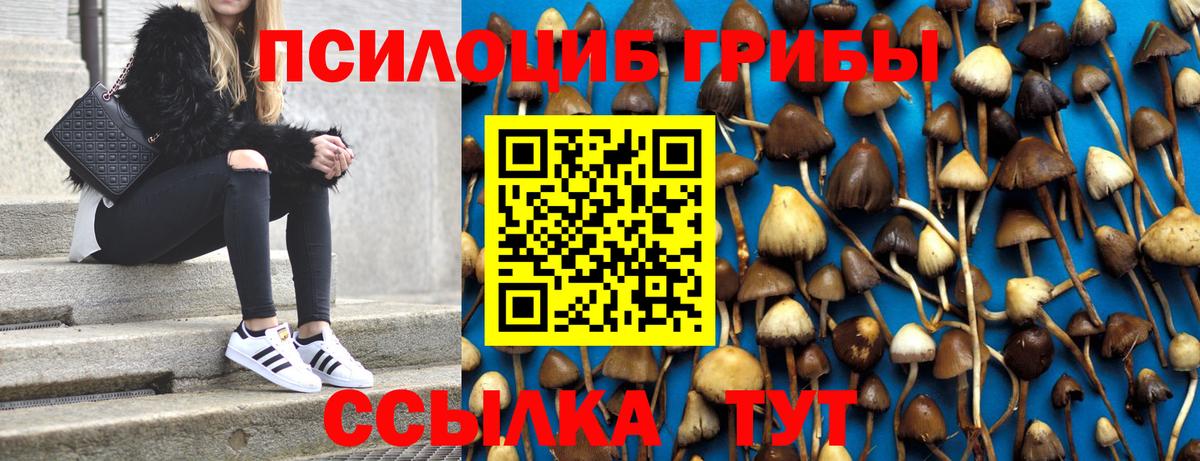 Псилоцибиновые грибы Cubensis  Вход с VPN  Галлюциногенные грибы MAGIC MUSHROOMS  закладка  Шадринск 