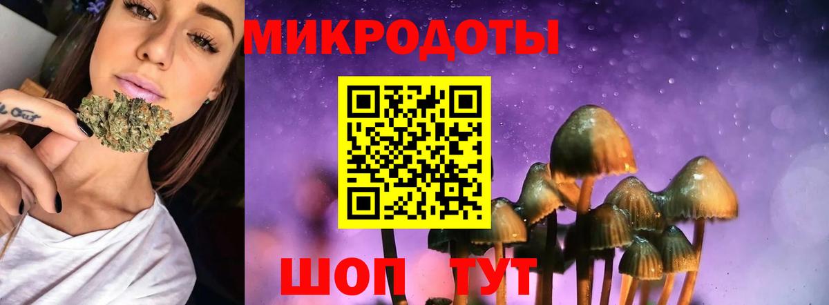 Псилоцибиновые грибы Psilocybine cubensis Шадринск